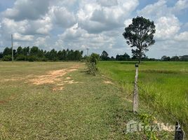  Земельный участок for sale in Buri Ram, Nong Tat, Mueang Buri Ram, Buri Ram