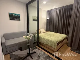 1 Bedroom Condo for rent at Modiz Sukhumvit 50, Phra Khanong, Khlong Toei, Bangkok, Thailand