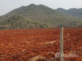  Grundstück zu verkaufen in Phatthana Nikhom, Lop Buri, Chon Noi, Phatthana Nikhom