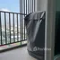 Studio Condo for rent at Supalai Veranda Ramkhamhaeng, Hua Mak, Bang Kapi, Bangkok, Thailand