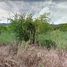  Land for sale in Thailand, Bang Phra, Si Racha, Chon Buri, Thailand