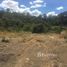  Land for sale in Guanacaste, Santa Cruz, Guanacaste