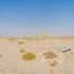  Land for sale at Jebel Ali Hills, Jebel Ali, Dubai, United Arab Emirates