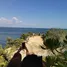  Grundstück zu verkaufen in Catanauan, Calabarzon, Catanauan, Quezon, Calabarzon, Philippinen