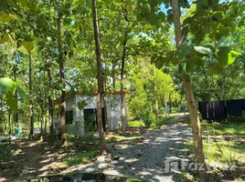 在FazWaz.cn出售的 土地, Fai Kaeo, Phu Phiang, 难, 泰国
