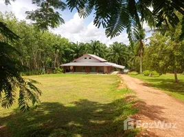 ขายที่ดิน ใน สะพลี, ชุมพร, สะพลี