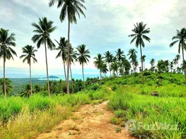  Land for sale in Lipa Noi, Koh Samui, Lipa Noi