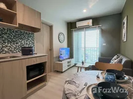 1 Bedroom Condo for rent at Nue Noble Srinakarin - Lasalle, Samrong Nuea, Mueang Samut Prakan