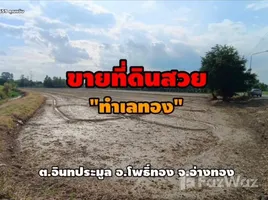ขายที่ดิน ใน อินทประมูล, อ่างทอง, อินทประมูล, โพธิ์ทอง