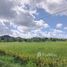  Grundstück zu verkaufen in Kuta, Lombok, Kuta