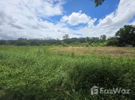  Land for sale in Don Kaeo, Chiang Mai, Don Kaeo, Saraphi, Chiang Mai, Thailand