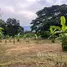 Land for sale in Mae Rim Chiang Mai, Rim Tai, Mae Rim, Chiang Mai
