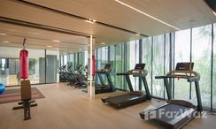 รูปถ่าย 3 of the Communal Gym at นิว โนเบิล ศรีนครินทร์ – ลาซาล