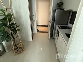 คอนโด สตูดิโอ ให้เช่า ในโครงการ ฮิลทาเนีย คอนโดมิเนียม, ช้างเผือก