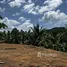  Terreno (Parcela) en venta en Khlong Khian, Phangnga, Khlong Khian, Takua Thung, Phangnga, Tailandia