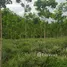  Land for sale in Maenam Khu, Rayong, Maenam Khu, Pluak Daeng