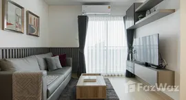 ยูนิตมือสองและให้เช่า