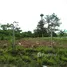  Terrain for sale in Nakhon Ratchasima, Pak Chong, Pak Chong, Nakhon Ratchasima