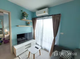 1 Bedroom Apartment for rent at Nue Noble Srinakarin - Lasalle, Samrong Nuea, Mueang Samut Prakan, Samut Prakan