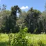  Land for sale in Phuket, Pa Khlok, Thalang, Phuket