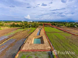 在Phimai, 呵叻府出售的 土地, Nai Mueang, Phimai