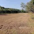  Land for sale in Mueang Kaeo, Mae Rim, Mueang Kaeo