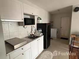 คอนโด 1 ห้องนอน ให้เช่า ในโครงการ ธนา อาร์เคเดีย, บางยี่ขัน