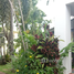 3 Bedroom Villa for rent at Lanna Pinery Home, Nong Khwai