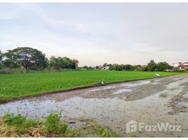  Land for sale in Chiang Rai, Ban Du, Mueang Chiang Rai, Chiang Rai