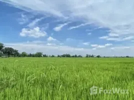 ขายที่ดิน ใน ดอนกอก, บุรีรัมย์, ดอนกอก, นาโพธิ์