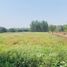  Земельный участок for sale in Buak Khang, Чианг Маи, Buak Khang, Сан Кампаенг, Чианг Маи