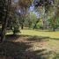  Terreno (Parcela) en venta en Alajuela, San Mateo, Alajuela