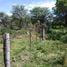  Land for sale in San Luis, Ayacucho, San Luis