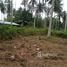  Land for sale in Thalang, Phuket, Pa Khlok, Thalang