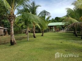  Земельный участок for sale in Aborlan, Palawan, Aborlan