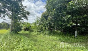 N/A Land for sale in Phu Po, Kalasin 