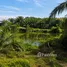  Земельный участок for sale in Na Tham Nuea, Trang, Na Tham Nuea, Mueang Trang, Trang