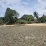 Terreno (Parcela) en venta en Buenavista, Central Visayas, Buenavista, Bohol