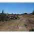  Land for sale in Linares, Maule, Longavi, Linares