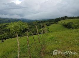 N/A Terreno (Parcela) en venta en , Guanacaste Lakefront, Mountain and Countryside Agricultural Land For Sale in Tilarán, Tilarán, Guanacaste