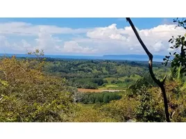  Grundstück zu verkaufen in Golfito, Puntarenas, Golfito