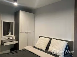 1 Bedroom Apartment for rent at ZCAPE III, Wichit, Phuket Town