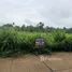  Land for sale in Chak Phong, Rayong, Chak Phong, Klaeng