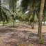  Terreno (Parcela) en venta en Ghana, Komenda Edina Eguafo Abirem, Central, Ghana