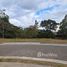  Land for sale in Costa Rica, Alajuela, Alajuela, Costa Rica