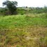  Land for sale in Greater Accra, Accra, Greater Accra