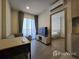 คอนโด 1 ห้องนอน ให้เช่า ในโครงการ เนีย บาย แสนสิริ, พระโขนงเหนือ