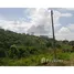  Land for sale in Colombia, Floridablanca, Santander, Colombia