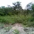  토지을(를) 리오 프레토 다 에바, 아마존에서 판매합니다., 리오 프레토 다 에바