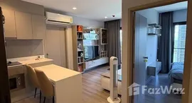 Available Units at The Politan Aqua